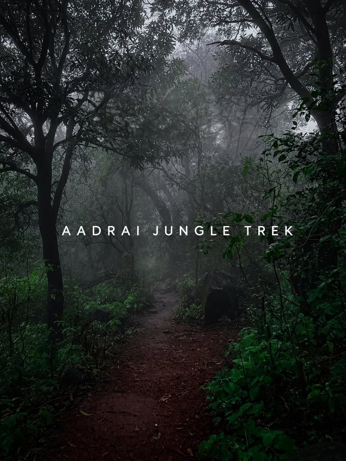 AADRAI JUNGLE TREK into a world of misty trails lush green forests hidden waterfall