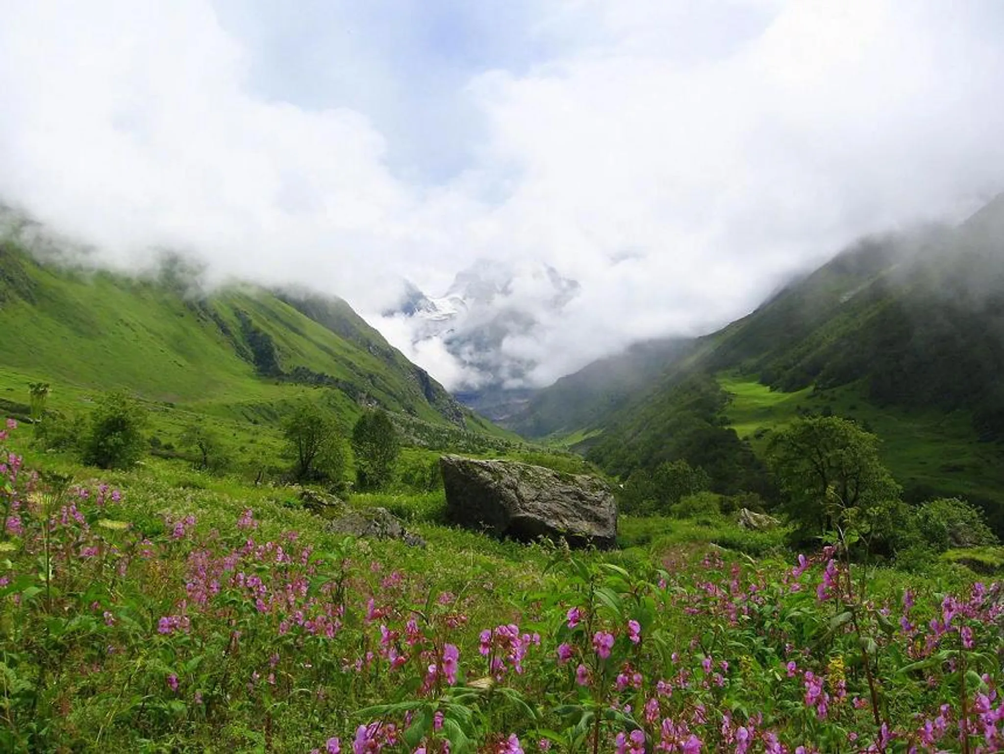 Valley of Flowers national park landscape in full bloom
Valley of Flowers Trek