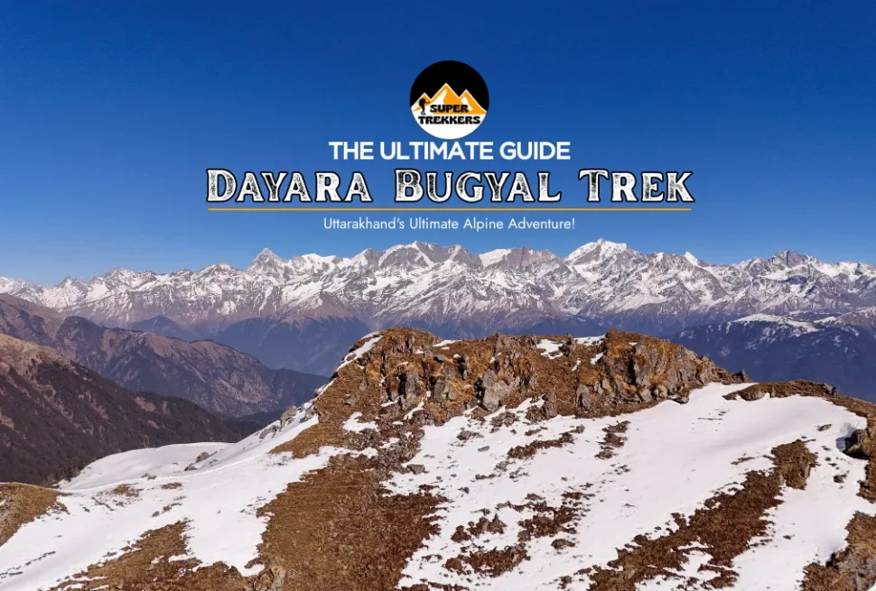 Dayara Bugyal Trek - The Ultimate Guide