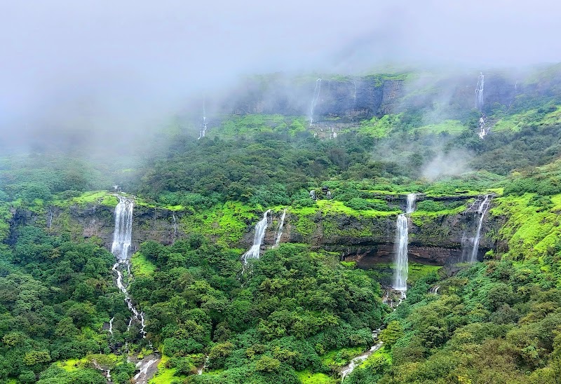 Aadrai Jungle Trek dense rainforest trail during peak monsoon in Malshej Ghat, Maharashtra